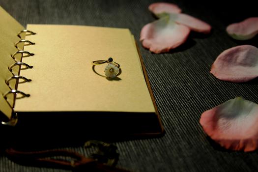 书本戒指与花瓣图片素材免费下载