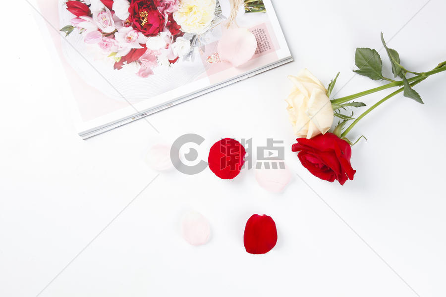 桌面上的玫瑰花图片素材免费下载