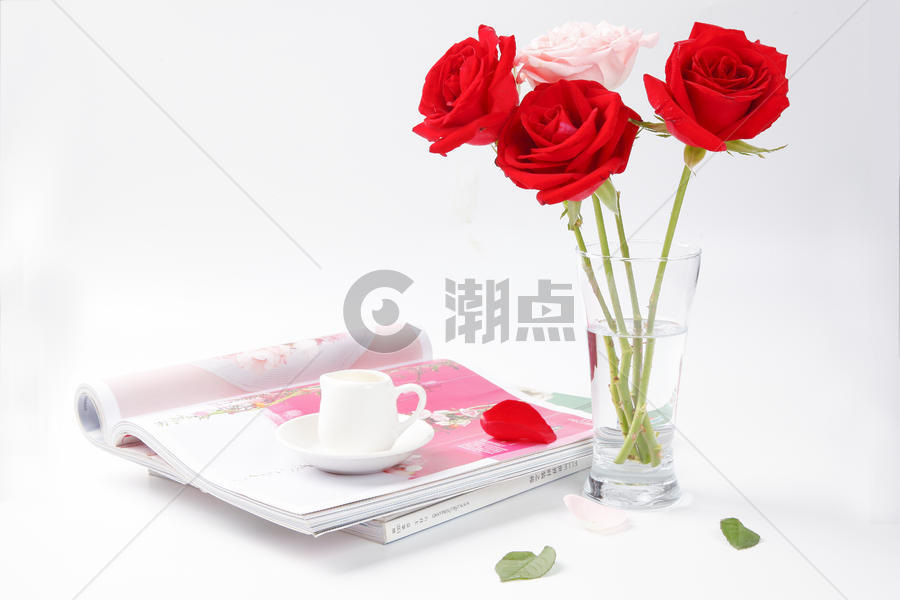 玫瑰花场景图片图片素材免费下载