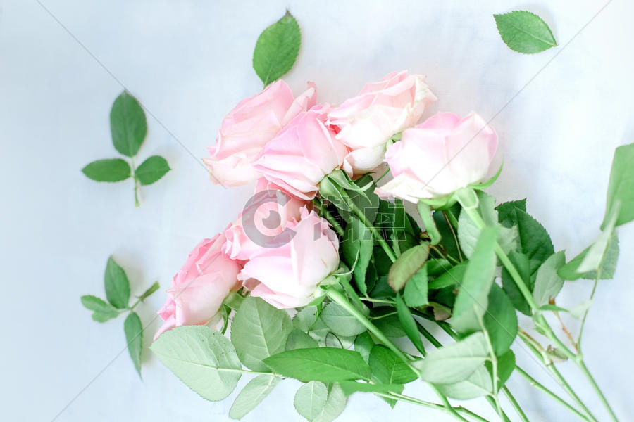 七夕粉红色爱情玫瑰花图片素材免费下载