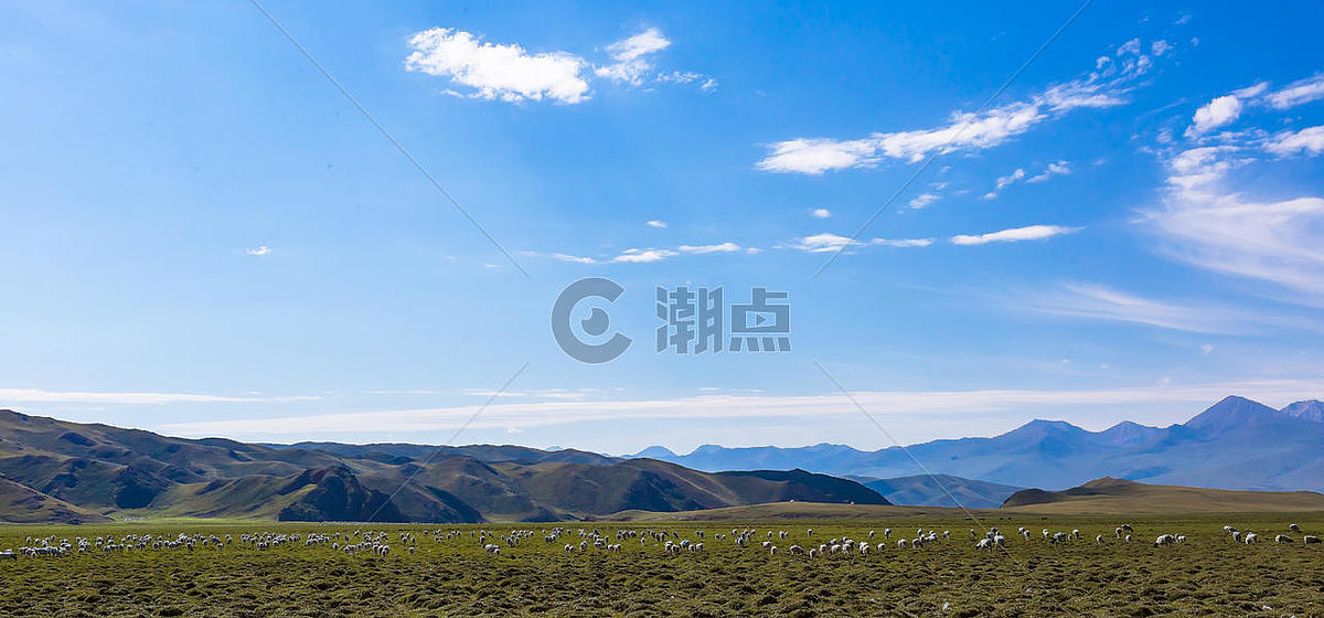 新疆草原上的羊群美景图片素材免费下载