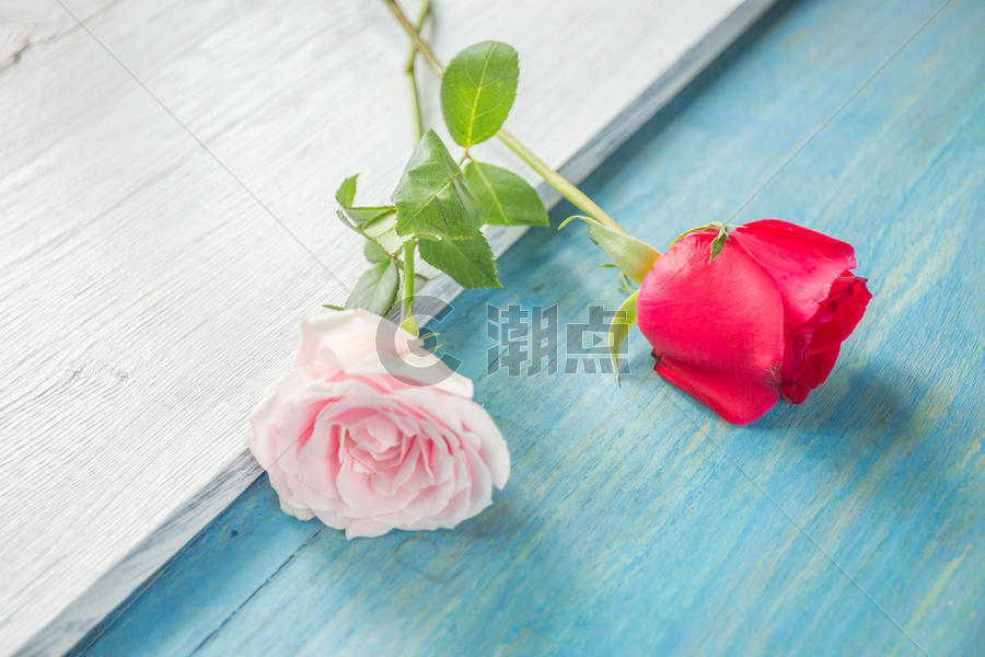 浪漫玫瑰图片素材免费下载