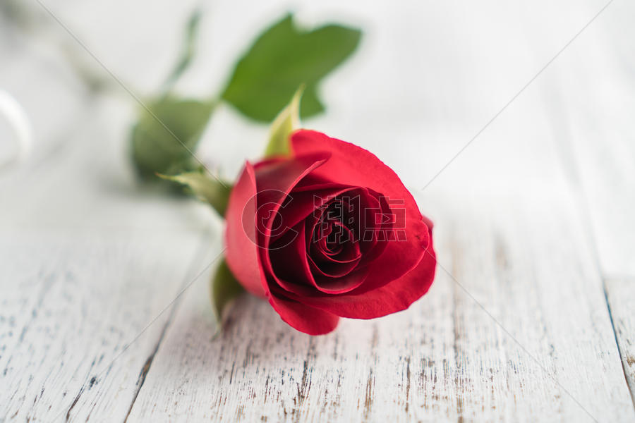 浪漫红玫瑰图片素材免费下载