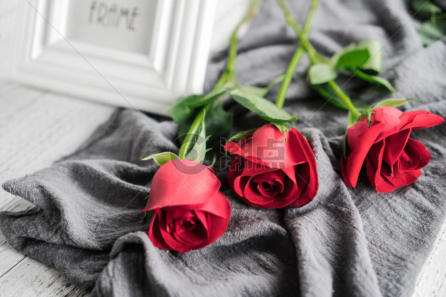 红色玫瑰花朵图片素材免费下载