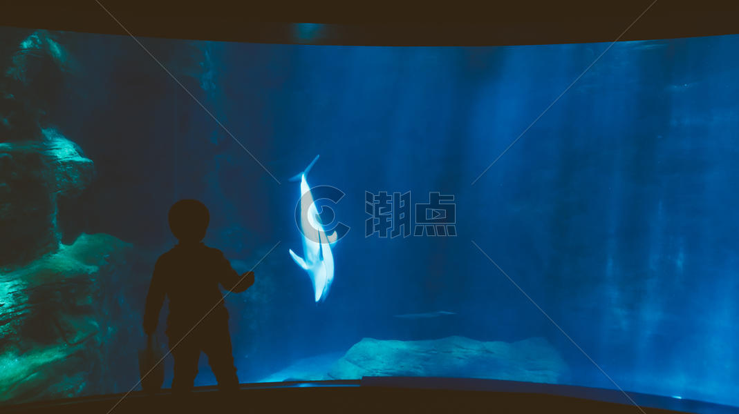 海洋馆儿童与海豚图片素材免费下载