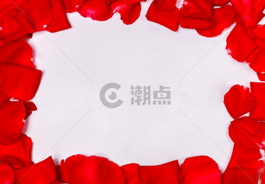 七夕情人节玫瑰花瓣图片素材免费下载