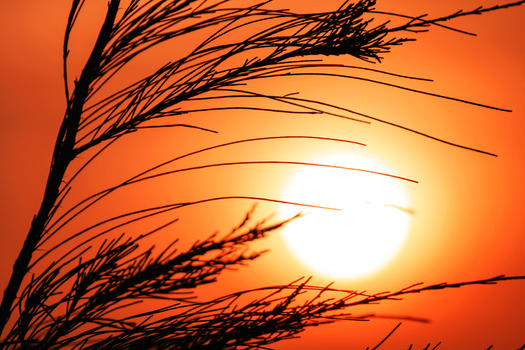 夏天鲜艳的落日图片素材免费下载