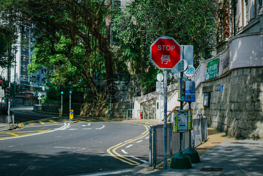 香港大学内一条幽静的交通公路图片素材免费下载