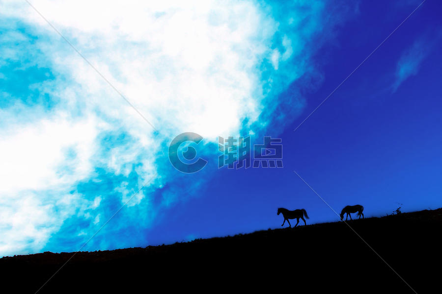 蓝天白云下草地上的马图片素材免费下载