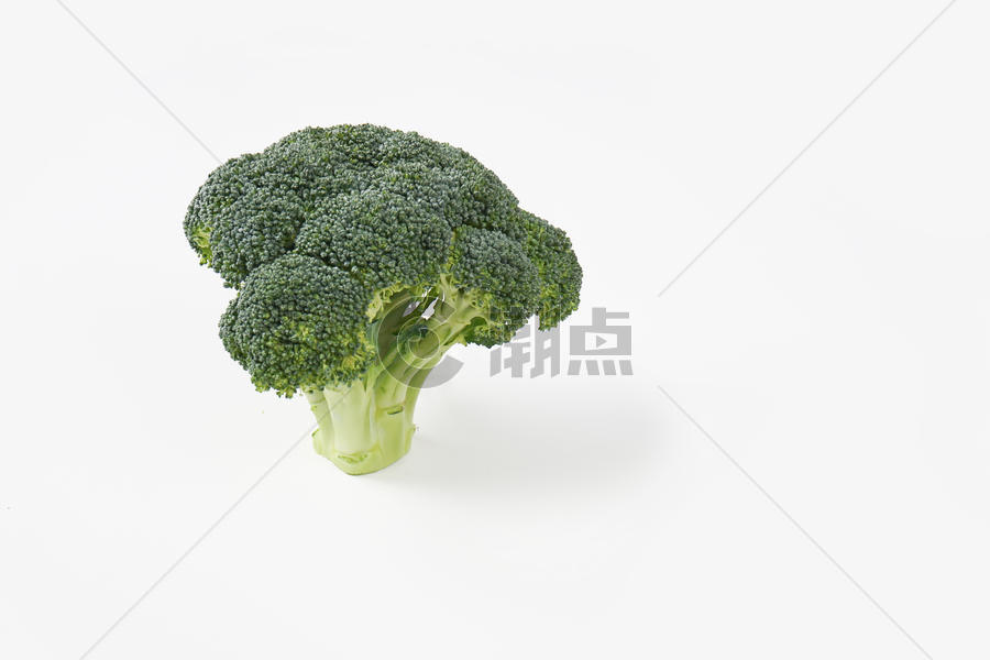 蔬菜西兰花图片素材免费下载