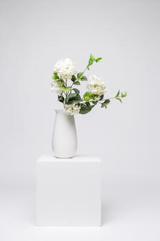 鲜花家居白色静物素材图片素材免费下载