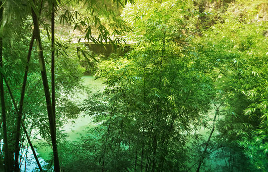 三峡人家风景区一角图片素材免费下载