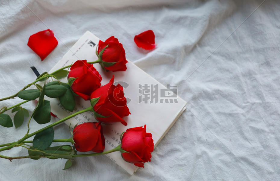 红色玫瑰花情人节素材图片素材免费下载