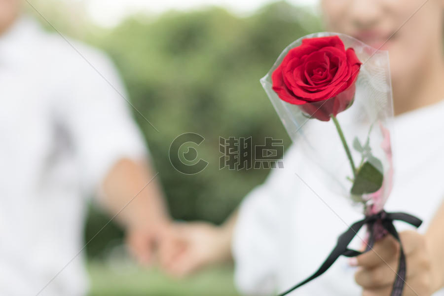 男生送玫瑰花给女生图片素材免费下载