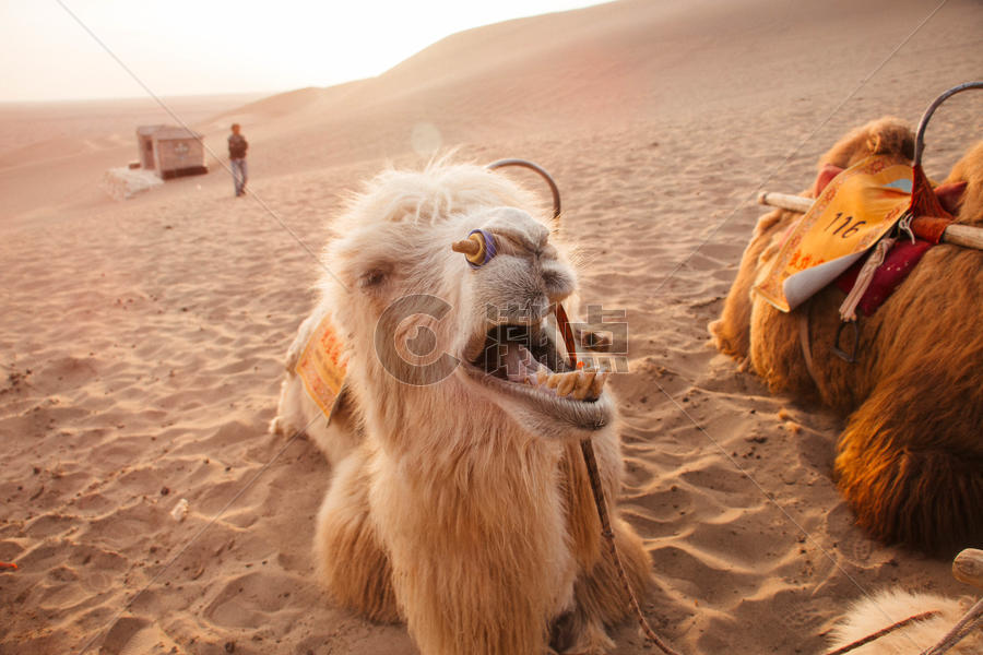 四月的敦煌沙漠戈壁滩图片素材免费下载