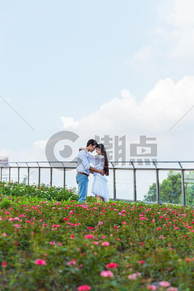 情人节花园情侣拥抱图片素材免费下载