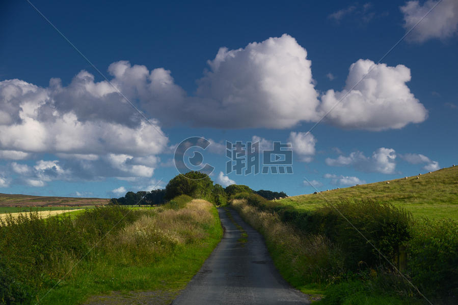 蓝天白云下的乡村小道图片素材免费下载