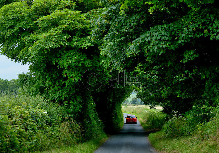 行驶在英格兰茂密树林的乡村道路上图片素材免费下载