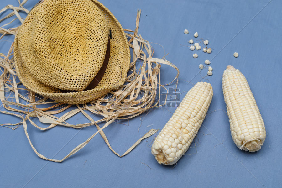 创意玉米造型摆拍图片素材免费下载