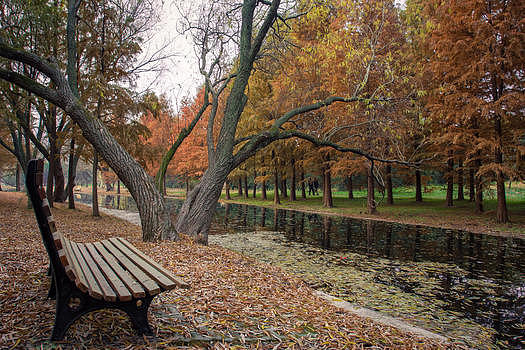 森林公园河边座椅图片素材免费下载
