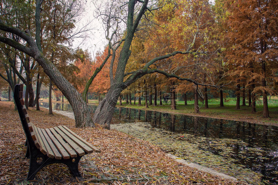 森林公园河边座椅图片素材免费下载