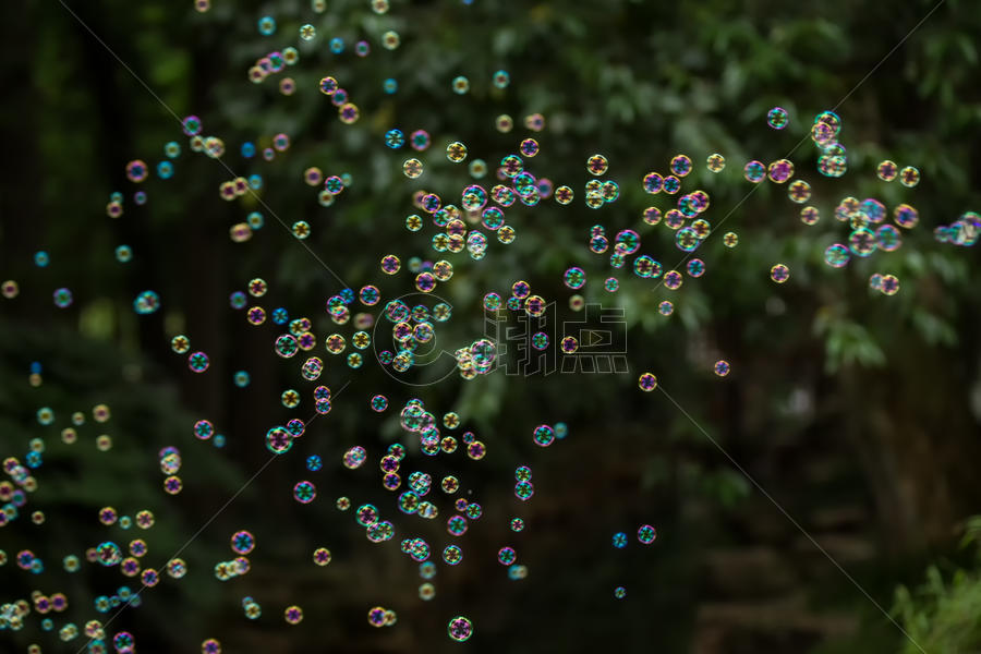 漂浮在森林中的彩色泡泡图片素材免费下载