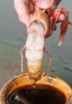新鲜大鳌虾图片素材免费下载