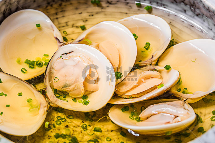 日式清炖蛤蜊图片素材免费下载