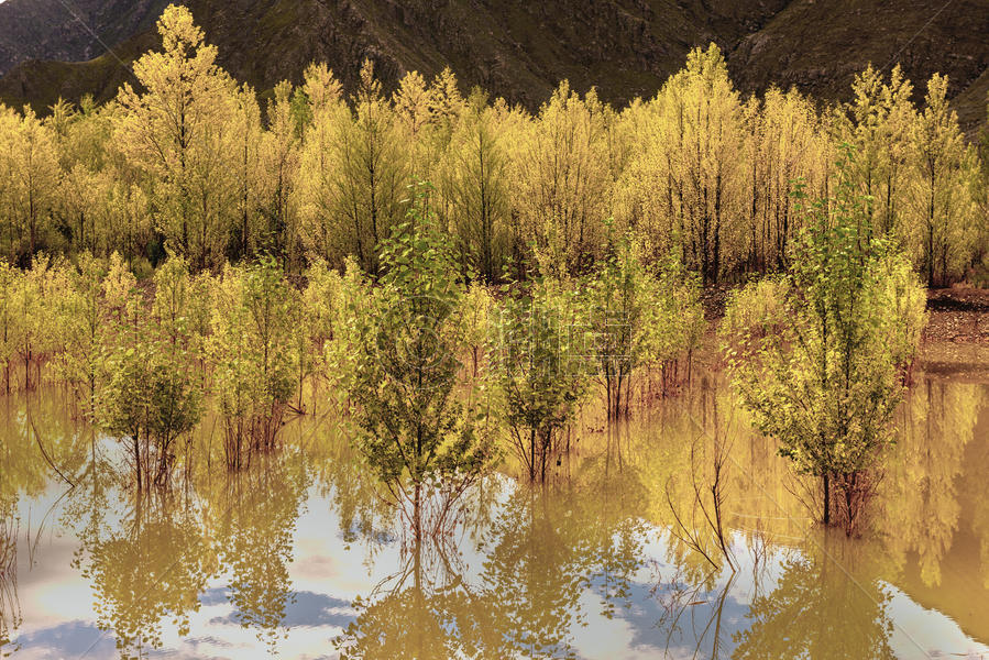 拉萨的金色池塘图片素材免费下载