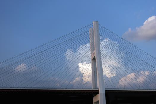 上海好天气下的南浦大桥图片素材免费下载