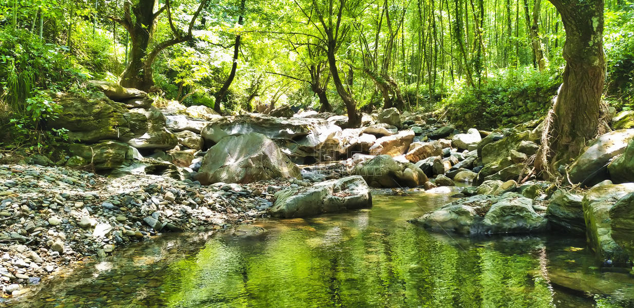 树林里的小溪图片素材免费下载