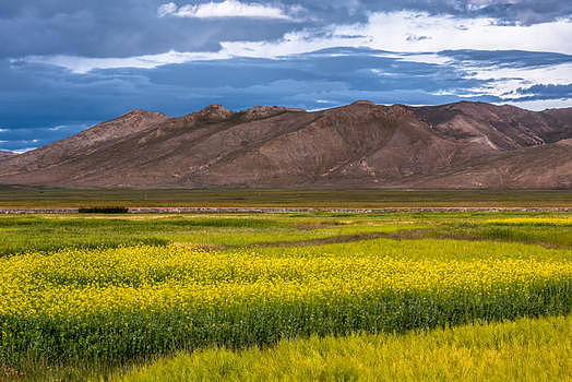 西藏高原上的田园风光图片素材免费下载