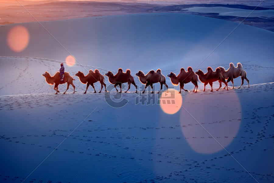 沙漠里的驼队图片素材免费下载