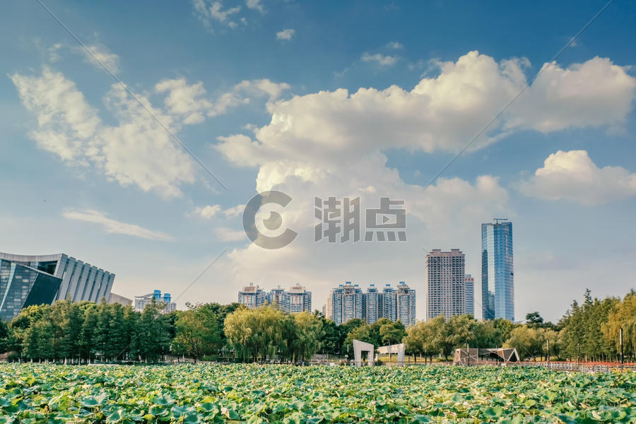 武汉清晨蓝天白云图片素材免费下载