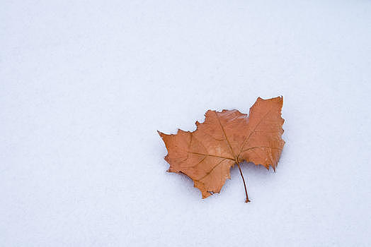 冬天雪地纹理素材图片素材免费下载