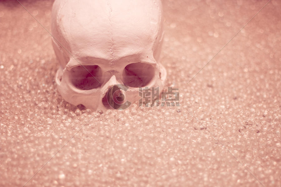 粉色水晶骷髅图片素材免费下载