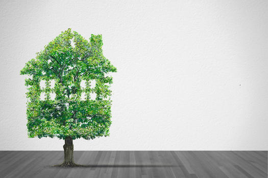 房子形状的绿树作为房地产的概念图片素材免费下载