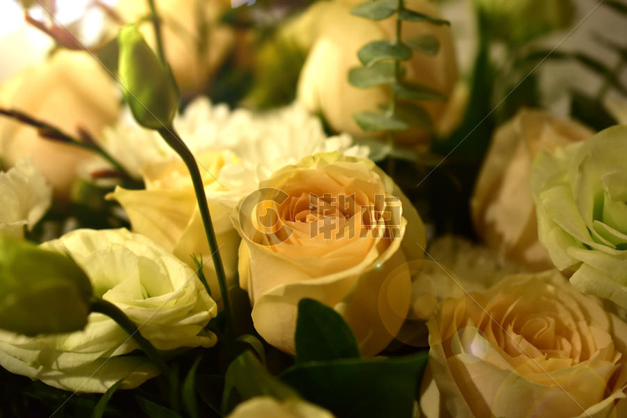 唯美黄玫瑰背景图片素材免费下载