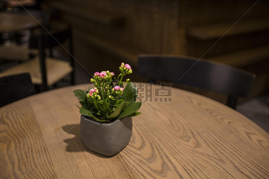 木桌子上摆着花盆图片素材免费下载