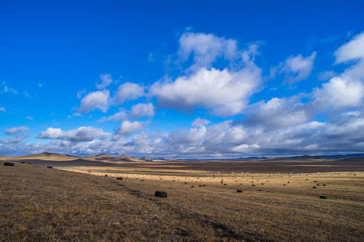 北疆荒草蓝天保护区图片素材免费下载