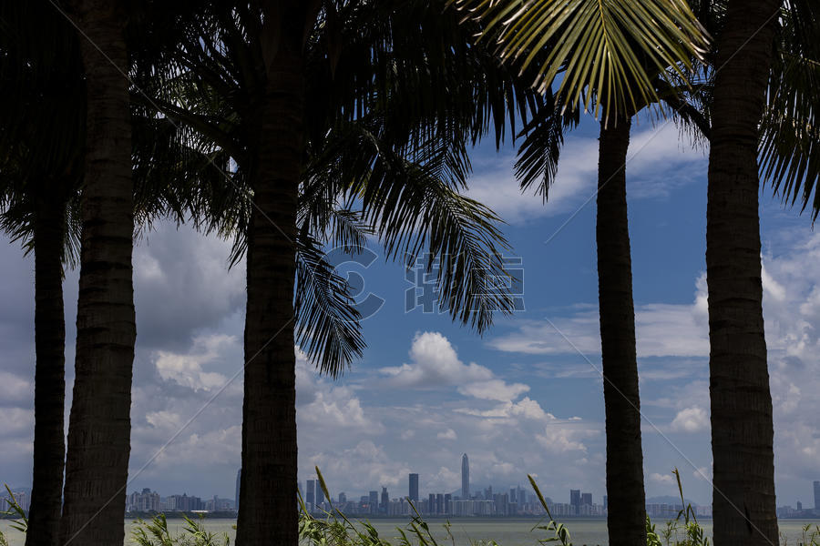 剪影椰树里的城市图片素材免费下载