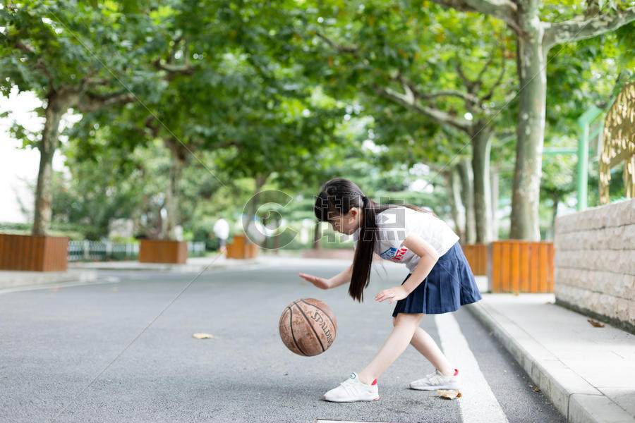 校园林荫道上打篮球的小学生女生图片素材免费下载