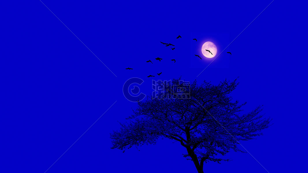 静谧的中秋月夜图片素材免费下载