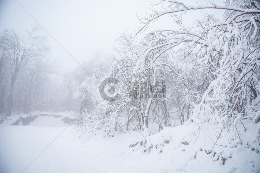 雾凇雪景素材图片素材免费下载