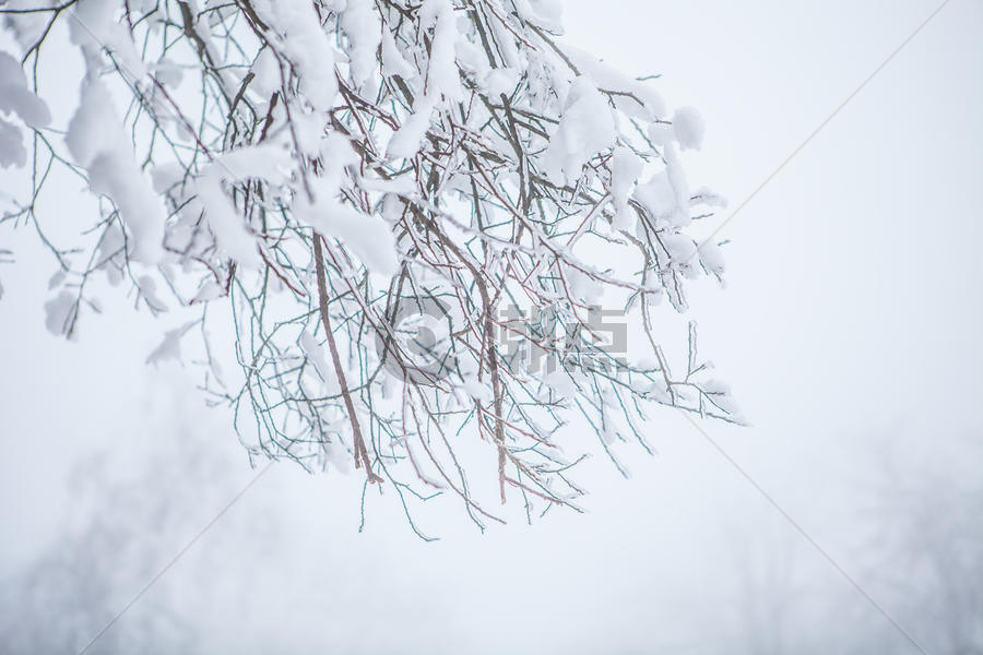 雾凇雪景素材图片素材免费下载