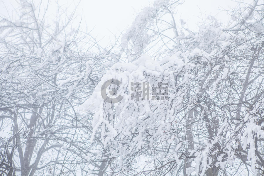 雾凇雪景素材图片素材免费下载
