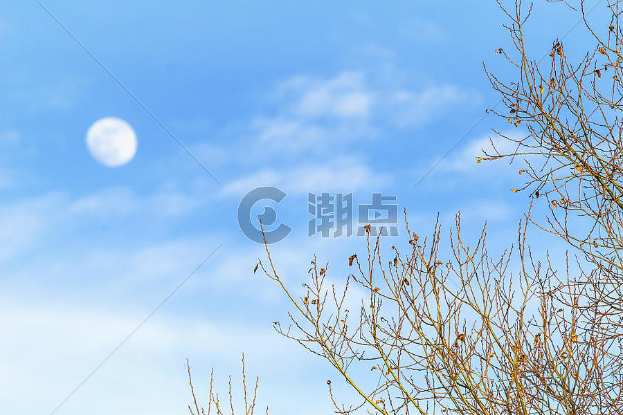 中秋节月亮图片素材免费下载