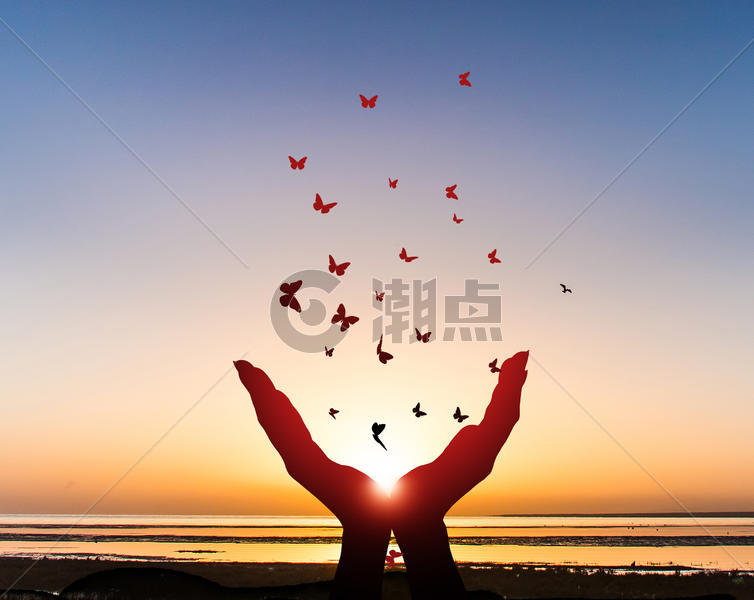 夕阳下蝴蝶围绕双手飞舞图片素材免费下载
