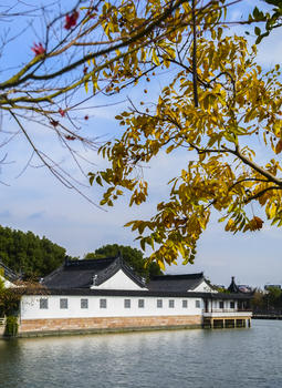 上海松江广富林遗址秋色风光图片素材免费下载