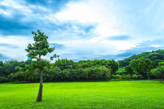城市草地绿化树林云朵天际线图片素材免费下载